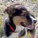 Sootie was adopted in August, 2004